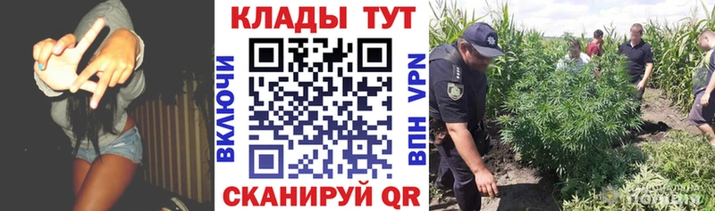 Как найти закладки Долгопрудный Каннабис  Альфа ПВП  Гашиш  КЕТАМИН  МДМА  Мефедрон  Псилоцибиновые грибы 