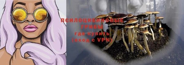 винт Армянск