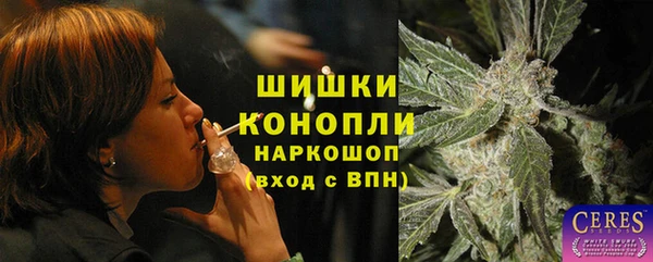 винт Армянск