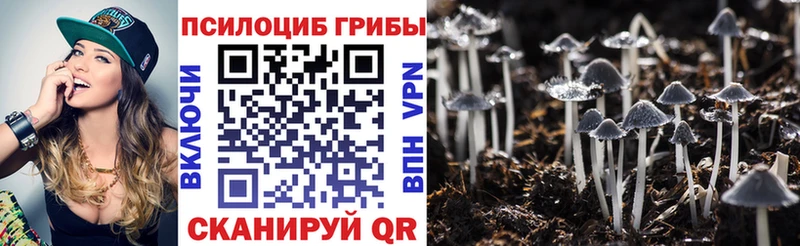 Псилоцибиновые грибы Magic Shrooms  продажа наркотиков  Долгопрудный 