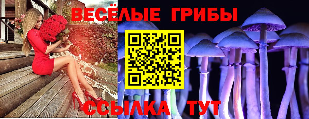 Псилоцибиновые грибы Magic Shrooms  Вход с VPN  Долгопрудный 