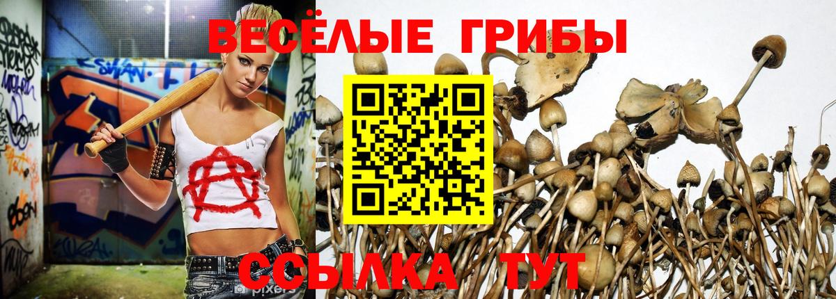 Галлюциногенные грибы Psilocybine cubensis Долгопрудный